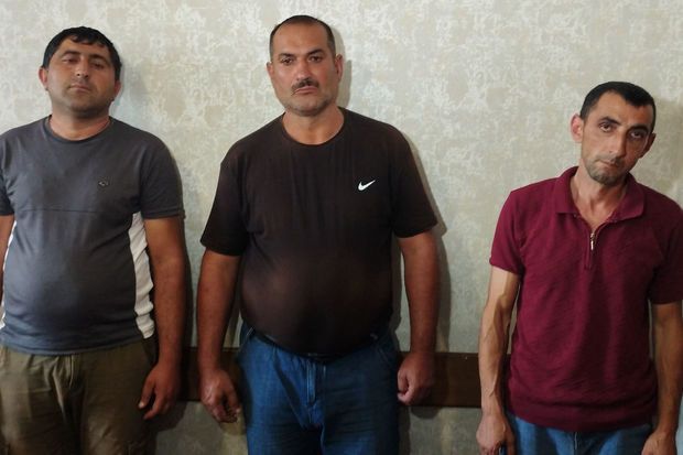 Şamaxıda xəstə atları kəsib satmaq istəyən şəxslər saxlanılıblar -     FOTO