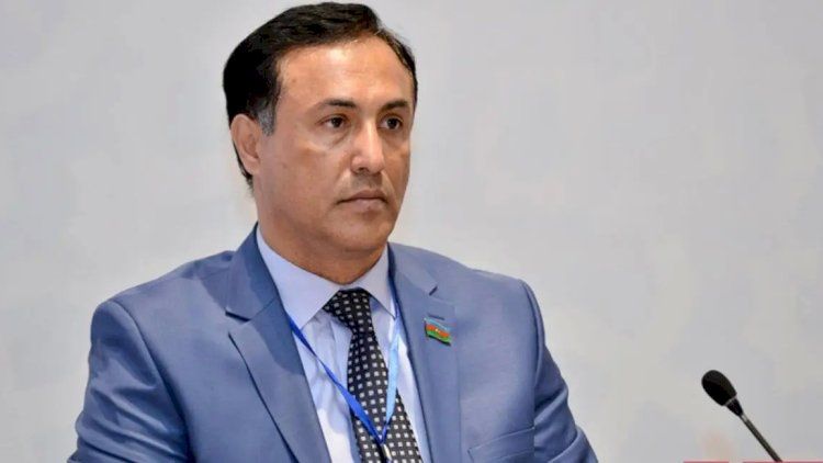 “FETÖ-nun Azərbaycanda passiv mövqedə olan tör-töküntüləri var”