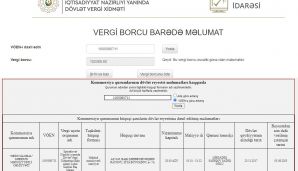 Sabiq nazir oğlu şirkətini satdı - Məhkəmə qarşısına çıxarılır — foto 2