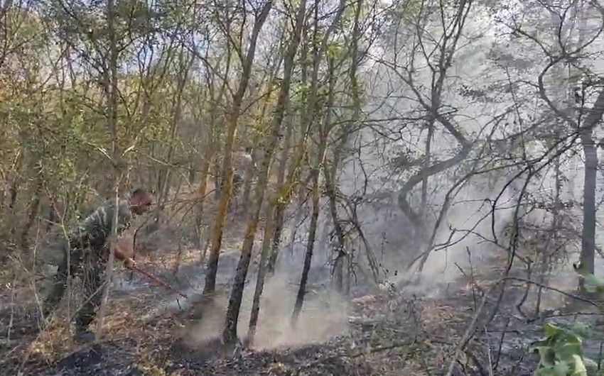 Şamaxıda 7 hektarlıq sahə yanır, yanğınsöndürmə işləri mürəkkəb şəraitdə həyata keçirilir