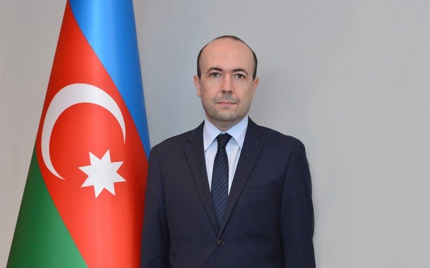 Xarici işlər nazirinin müavini Avstriyaya işgüzar səfər edib