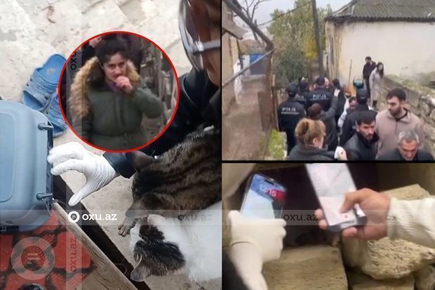 Siyəzəndə pişiklərə işgəncə verdiyi iddia olunan qadının evindən insident zamanı oğurluq edilib -     VİDEO