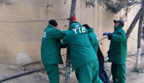 Bakıda güclü külək:       Ağaclar qırıldı — foto 3