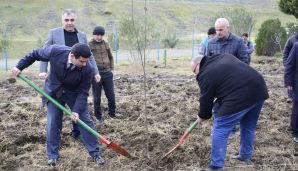 Masallıda “Heydər Əliyev və media” adlı konfrans keçirildi — foto 17