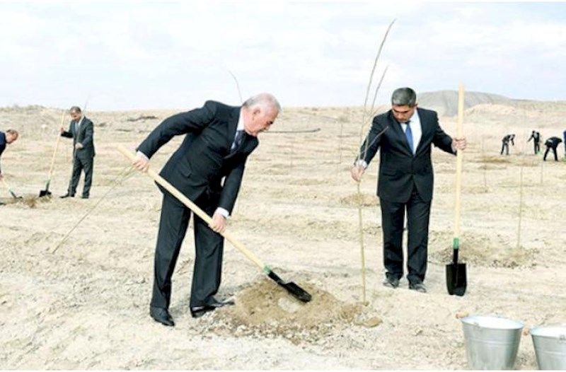 Naxçıvanda Talıbov ənənəsi davam edir:     Hamı iməcliyə...