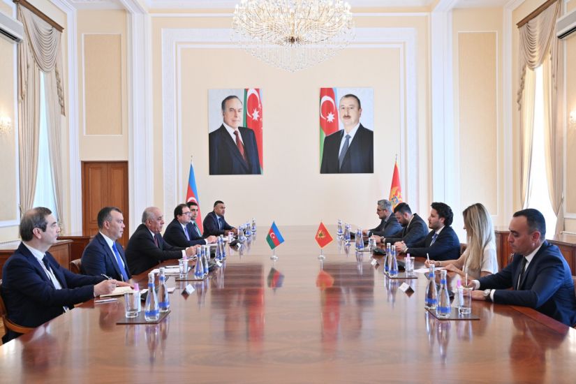 Əli Əsədov Monteneqronun Baş naziri ilə görüşdü