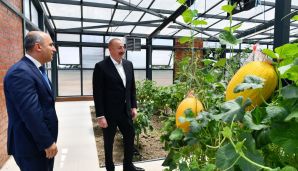Prezident İlham Əliyev Cəlilabad Dövlət Peşə Təhsil Mərkəzinin açılışında iştirak etdi -     YENİLƏNDİ — foto 6
