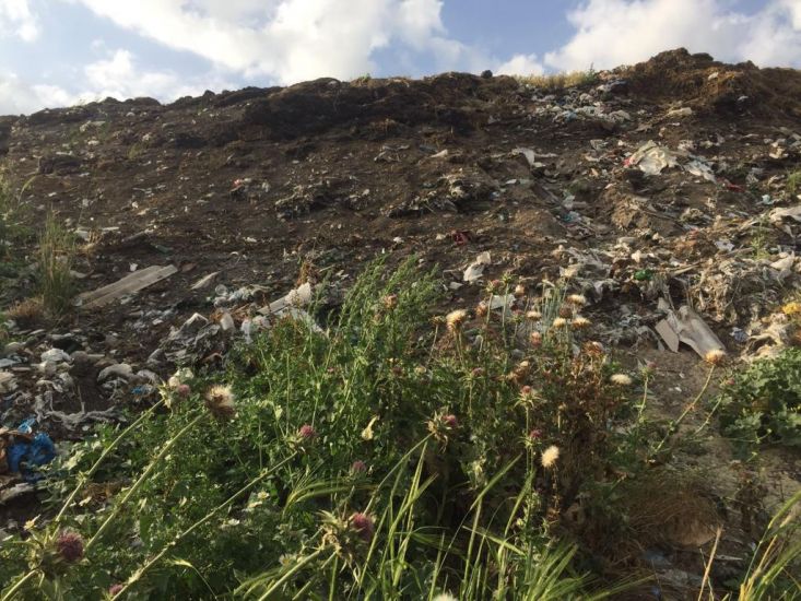 Bakıda və Şamaxıda vəzifəli şəxslər cərimələndi