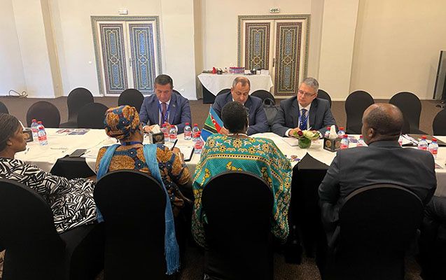 Adil Əliyev Tanzaniya Parlamentinin sədri ilə görüşdü -     FOTO
