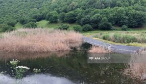 Dövlət Komissiyası Gədəbəyin Söyüdlü kəndində süni gölə baxış keçirdi -       FOTO — foto 4