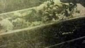 Cəfər Cabbarlının oğurlanmış beyni bu ölkədə gizlədilir -     FOTO — foto 1