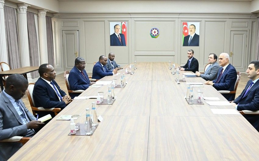 Şahin Mustafayev Tanzaniyanın Vitse-prezidenti ilə görüşdü