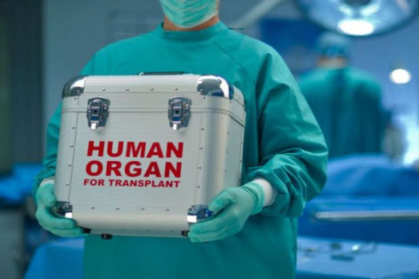 Orqanların transplantasiyası üzrə razılıq ərizəsinin forması təsdiqləndi