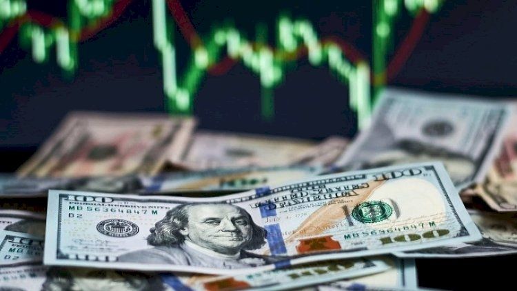 "Biznes partnyor"a cərimə protokolu niyə yazılıb?