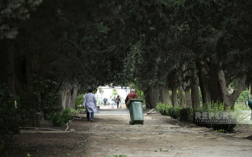 Mərkəzi Nəbatat bağında qanunsuz tikilən 40-a yaxın ictimai iaşə obyekti söküldü