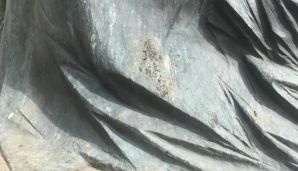 Rusiyada Nizami Gəncəvinin heykəli baxımsız vəziyyətdədir -       FOTO — foto 2
