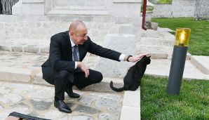 Siyavuş Novruzov: “Məscidin ziyarətinə gedəndə, pişiyin cənab Prezidentin qarşısına çıxmasının özü də bir göstəricidir...” — foto 1