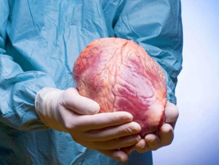 Azərbaycanda ürək transplantasiyası həyata keçiriləcək