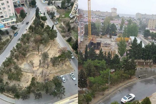 Bakıda parkda yaşıllıqları qurudub restoran tikmək istədilər -     VİDEO