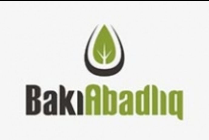 Binnət Qasımovun rəhbərlik etdiyi şirkət məcburi auditdən yayındı