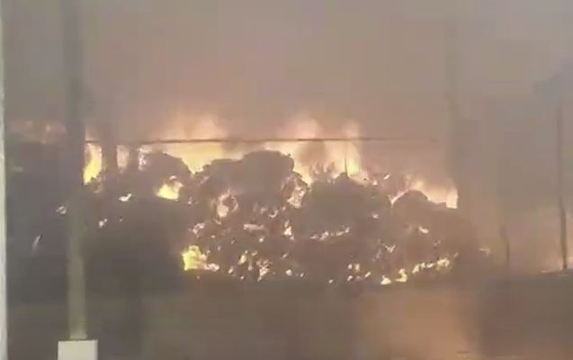 Azərbaycanda Aqroparkda güclü yanğın -     VİDEO