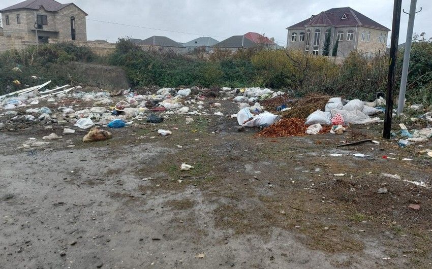 Ətraf mühitin çirkləndirilməsinə görə növbəti bələdiyyə sədri məsuliyyətə cəlb edildi