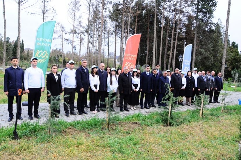 Naftalanda “Heydər Əliyev İli” çərçivəsində ağacəkmə aksiyası keçirilib -     FOTOLAR