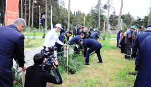 Naftalanda “Heydər Əliyev İli” çərçivəsində ağacəkmə aksiyası keçirilib -     FOTOLAR — foto 3
