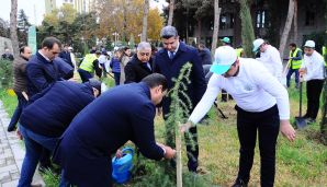 Naftalanda “Heydər Əliyev İli” çərçivəsində ağacəkmə aksiyası keçirilib -     FOTOLAR — foto 4