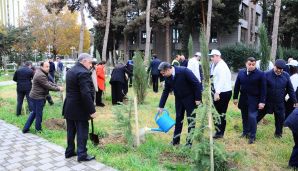 Naftalanda “Heydər Əliyev İli” çərçivəsində ağacəkmə aksiyası keçirilib -     FOTOLAR — foto 5