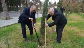 Naftalanda “Heydər Əliyev İli” çərçivəsində ağacəkmə aksiyası keçirilib -     FOTOLAR — foto 7