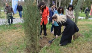 Naftalanda “Heydər Əliyev İli” çərçivəsində ağacəkmə aksiyası keçirilib -     FOTOLAR — foto 8