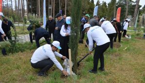 Naftalanda “Heydər Əliyev İli” çərçivəsində ağacəkmə aksiyası keçirilib -     FOTOLAR — foto 9