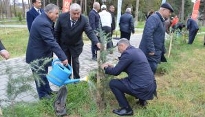 Naftalanda “Heydər Əliyev İli” çərçivəsində ağacəkmə aksiyası keçirilib -     FOTOLAR — foto 10