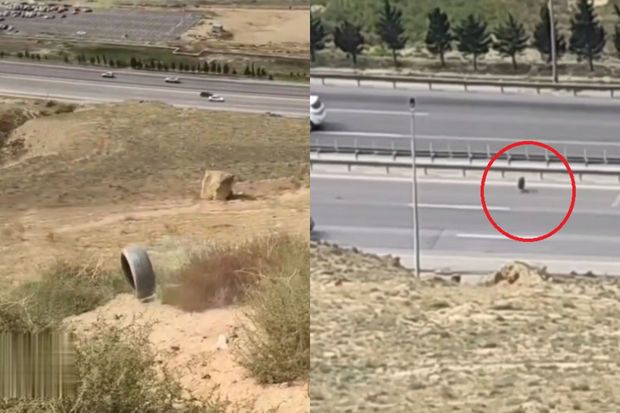 Bakıda yeniyetmələr maşın təkərini yola buraxdılar: Təhlükəli anlar yaşandı -       VİDEO