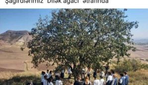 Məktəb rəhbərliyi şagirdləri pirə aparıb, "dilək ağacı" ətrafında fotosunu çəkib — foto 1