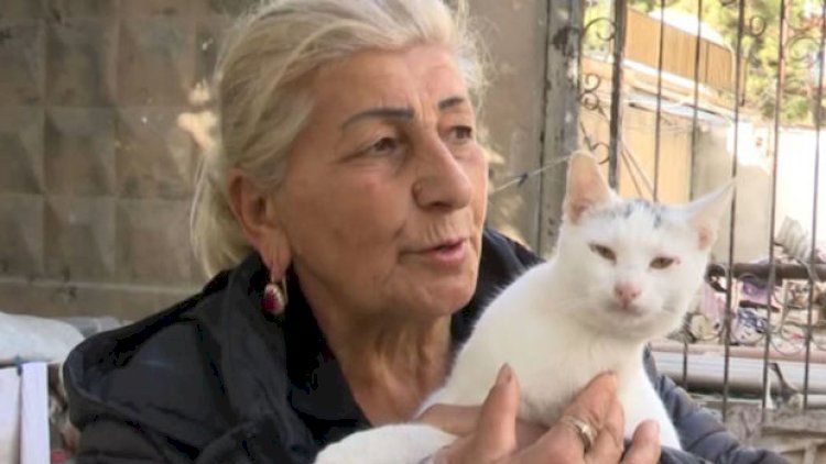 Bakıda 63 yaşlı qadın küçədə yaşayır -      VİDEO