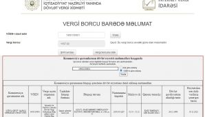 "Atena Qrup"da maliyyə problemləri -       Şirkət rəhbəri məhkəməyə verildi — foto 1
