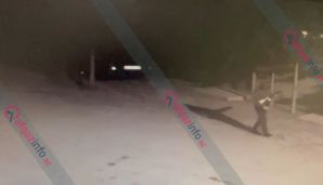 Sumqayıtda evə silahlı hücum edən şəxsin görüntüsü yayıldı -       FOTO — foto 1