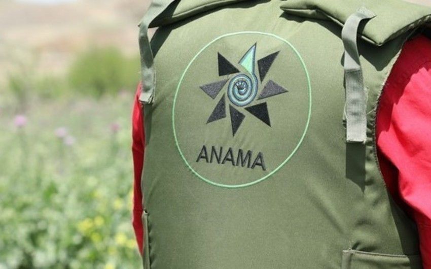 ANAMA-nın avtobusu Laçında qəzaya düşüb, 3 nəfər xəsarət alıb