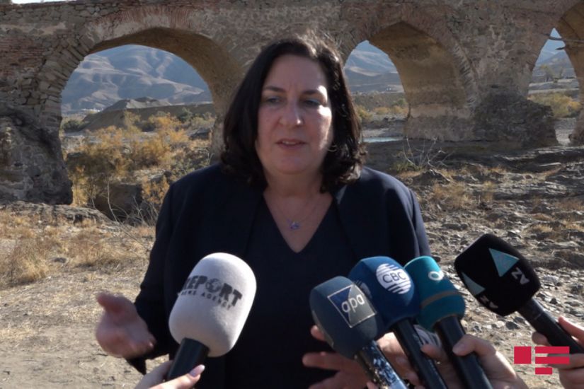 Brenda Şaffer: Ukrayna və Gürcüstana öz ərazilərini terrorçulardan təmizləməyə icazə verilir, lakin Azərbaycana olmaz?