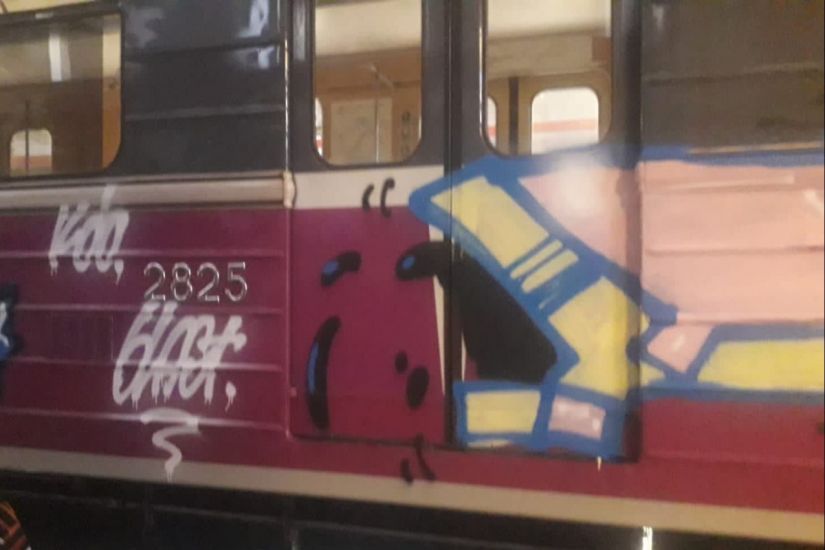 Bakı metrosunun deposuna daxil olub əmlaka qəsdən ziyan vuran Fransa vətəndaşı həbs edildi