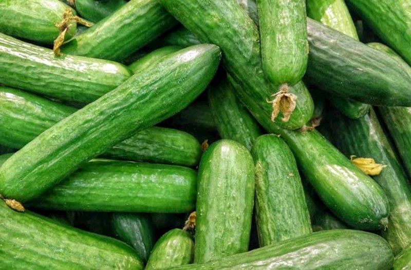 Hər gün xiyar yesək, orqanizmdə nə baş verər?