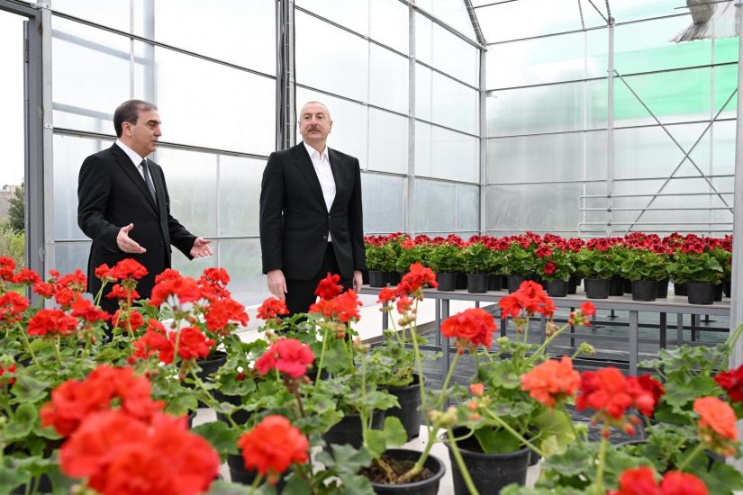 Prezident Gəncədə Ekoloji Park Kompleksinin tikintisi ilə tanış olub -     FOTOLAR - YENİLƏNDİ