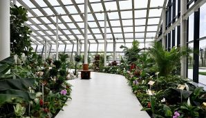 Prezident Gəncədə Ekoloji Park Kompleksinin tikintisi ilə tanış olub -     FOTOLAR - YENİLƏNDİ — foto 6