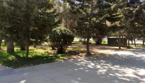 Elmlər Akademiyasının qarşısındakı parkda oturacaqlar yoxa çıxdı — foto 3