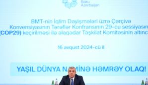 COP29 ilə əlaqədar Təşkilat Komitəsinin altıncı iclası keçirildi -       FOTO — foto 12