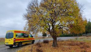“Çaybulans” payız günlərində bölgələrə yola düşüb -     FOTOLAR — foto 8