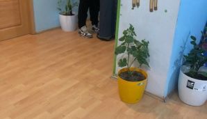 Hərəkətləri ilə hamını cana gətirən TikTokerin xəstəxanadan fotosu — foto 2