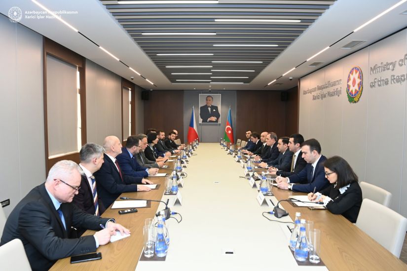 Ceyhun Bayramov Çexiya Deputatlar Palatasının sədri ilə görüşüb